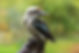 Vildmark_Studio-5176.jpg