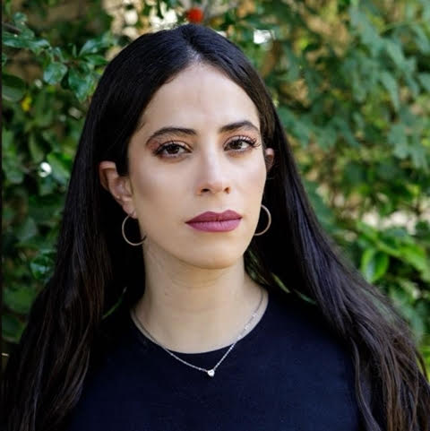 Advocating in Knesset Committees