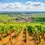 Thumbnail: The Wine Counselor® France