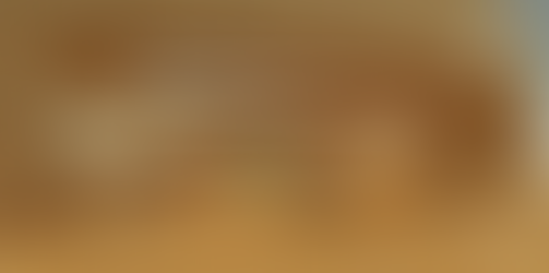 Bronx Borough President Lauds Bronx Children’s Museum’s 2016 Plans in Borough Address