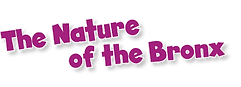 nature-of-the-bronx-logo.png
