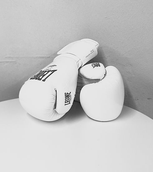 Handschuhe.jpg