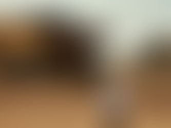 Tendencias en Reputación y Marca :
Río Tinto