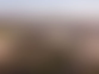 Tendencias en Sostenibilidad: Río Tinto