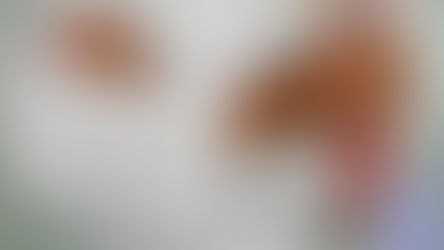 Busting government monopolies of professionals