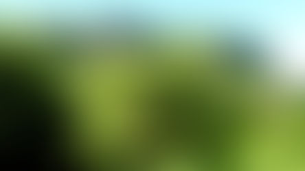 Where the CHamoru culture was born