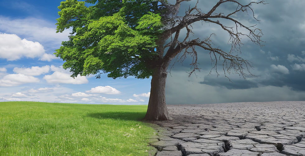 El Niño is underway: A warming Pacific, a shifting storm belt and a region learning to read every cloud as a warning sign