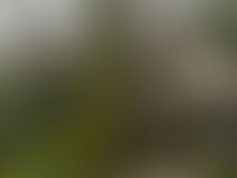 CNMI communication systems remain sparse; cell sites rely on backup power