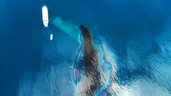 Divers discovered oil leaking from a WWII shipwreck on Sept. 11, 2025. Photo courtesy of the State of Chuuk