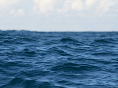 Papua New Guinea plans largest marine sanctuary in Melanesia