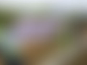 Use it or lose it: Guam governor pushes for passage of bill authorizing the use of unspent ARP funds for utility projects  