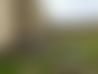 Guam to receive $500M in federal funds for Typhoon Mawar recovery