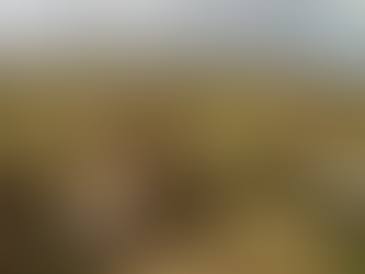 Study recommends use of non-intrusive tool to scan Guam's prehistoric sites 