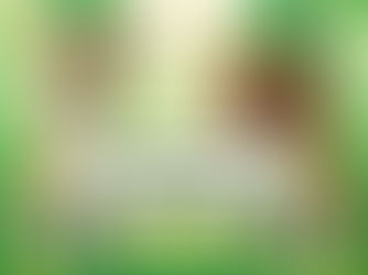 Community Events: Dog rescue fundraiser; Tumon music fest returns;