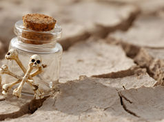 What's killing Guamanians? The island is tainted with 25 types of toxic chemicals