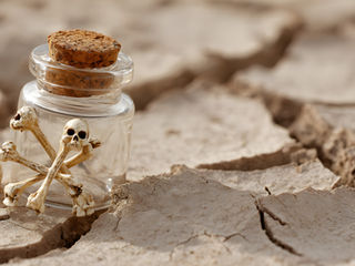 What's killing Guamanians? The island is tainted with 25 types of toxic chemicals