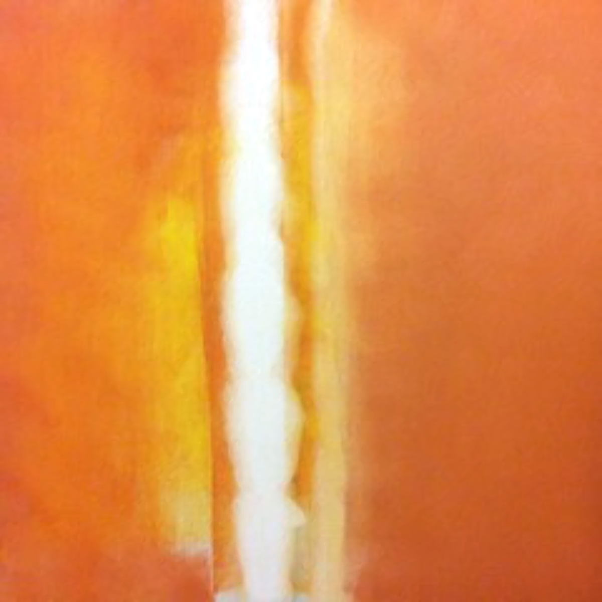 COMBUSTION