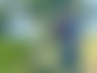 US Coast Guard, Palau beef up maritime partnership for regional stability