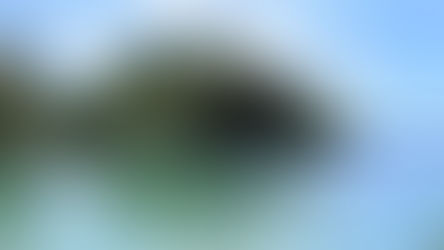 Quad supports first open RAN deployment in Palau