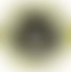 Defendant in Yap murder case gets 7 months for gun charges