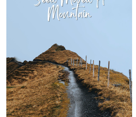 Bookshelf: Enthralling stories 