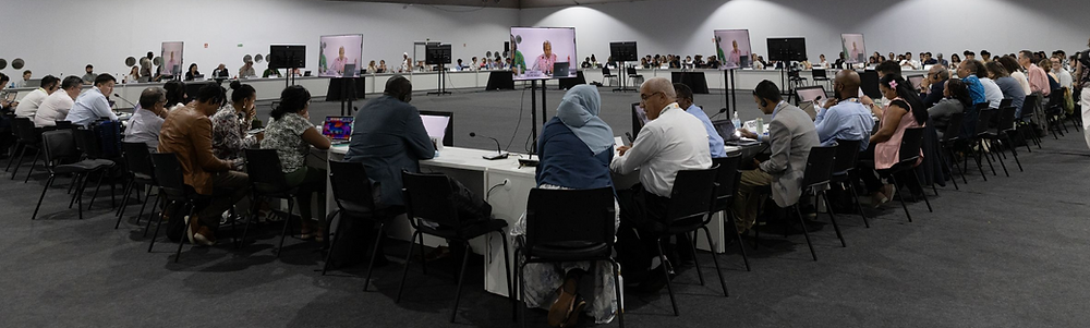 Why European Green parties don’t care about the Pacific island issues