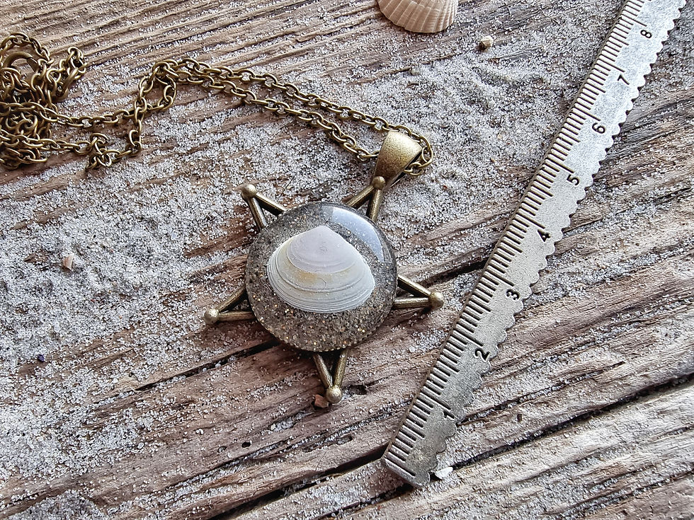 Miniaturbild: Plattmuschel Stern antikbronze