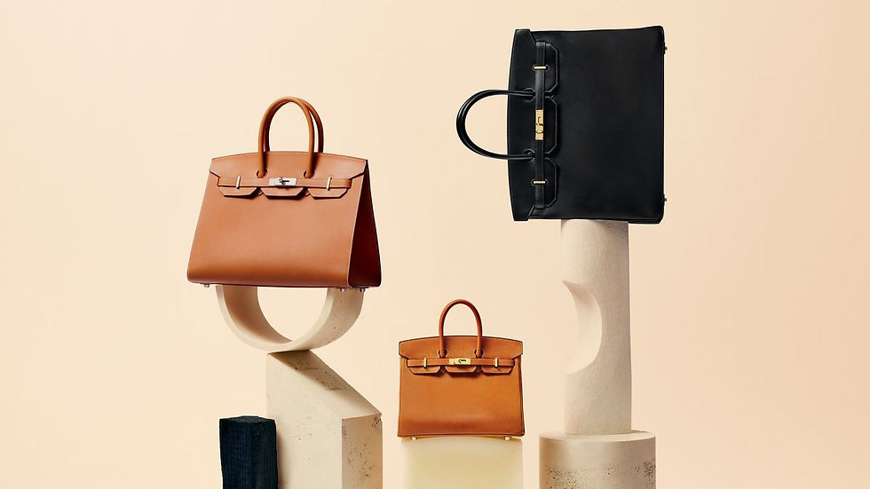 P_169_C_BIRKIN_HEADER_wid=1200.jpg