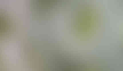 Abstract color field paintings based on the Bible to encourage and uplift.