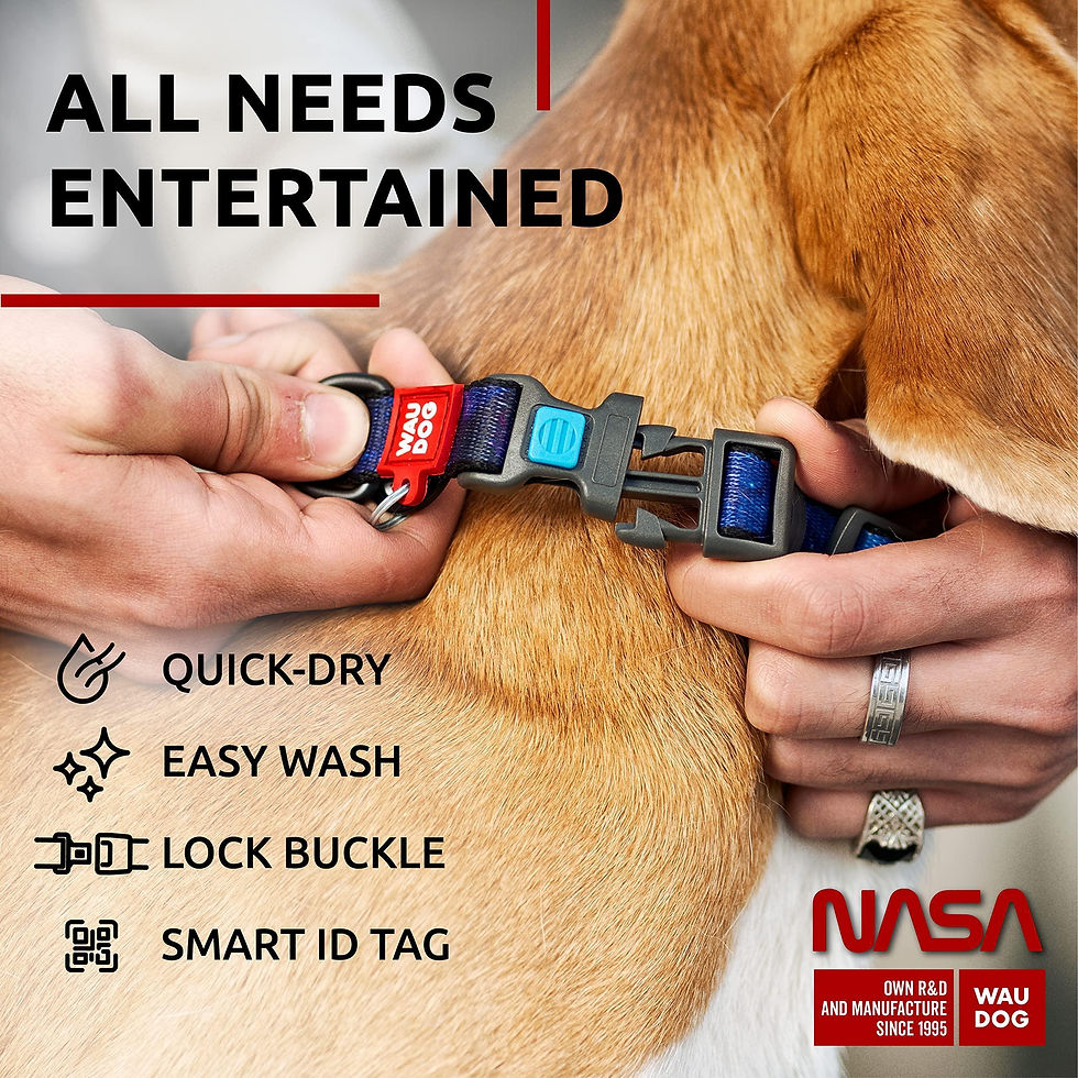 Thumbnail: Nylon Dog Collar Adjustable for Small Medium Dogs 916 in Neck x 4/5 in NASA