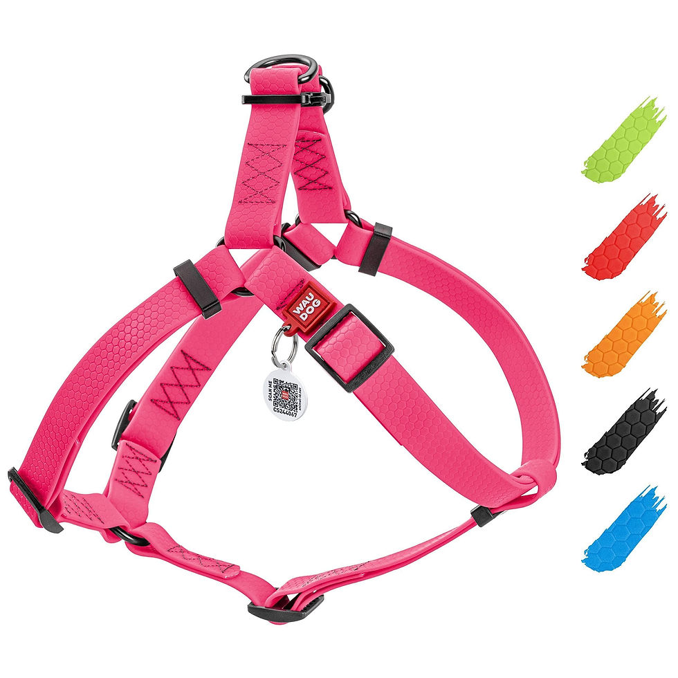 Thumbnail: Pink Waterproof Dog Harness Adjustable for Small Dogs S Size 1622 inch