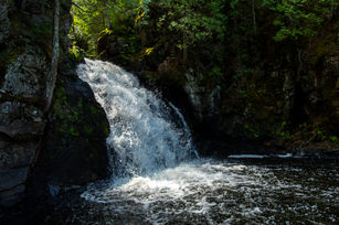 DSC_9644.jpg