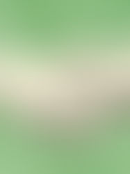 Illustrated hands shaking in front of green dollar bills