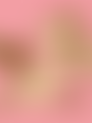 Cartoon horse with wings reading a book