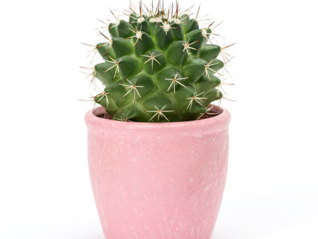 Hello? Is this thing on?