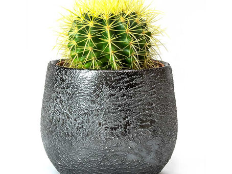 F. More effort needed. See me.