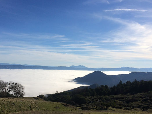Konocti Fog Pic.jpg