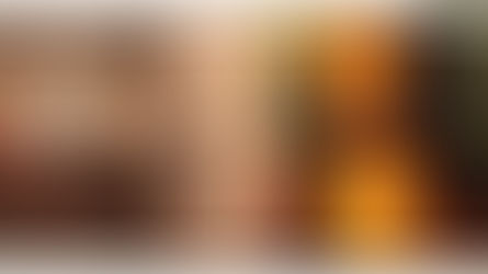 My Visit to the Customs House Museum