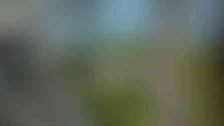 Oil on Canvas, 24" x 30" 