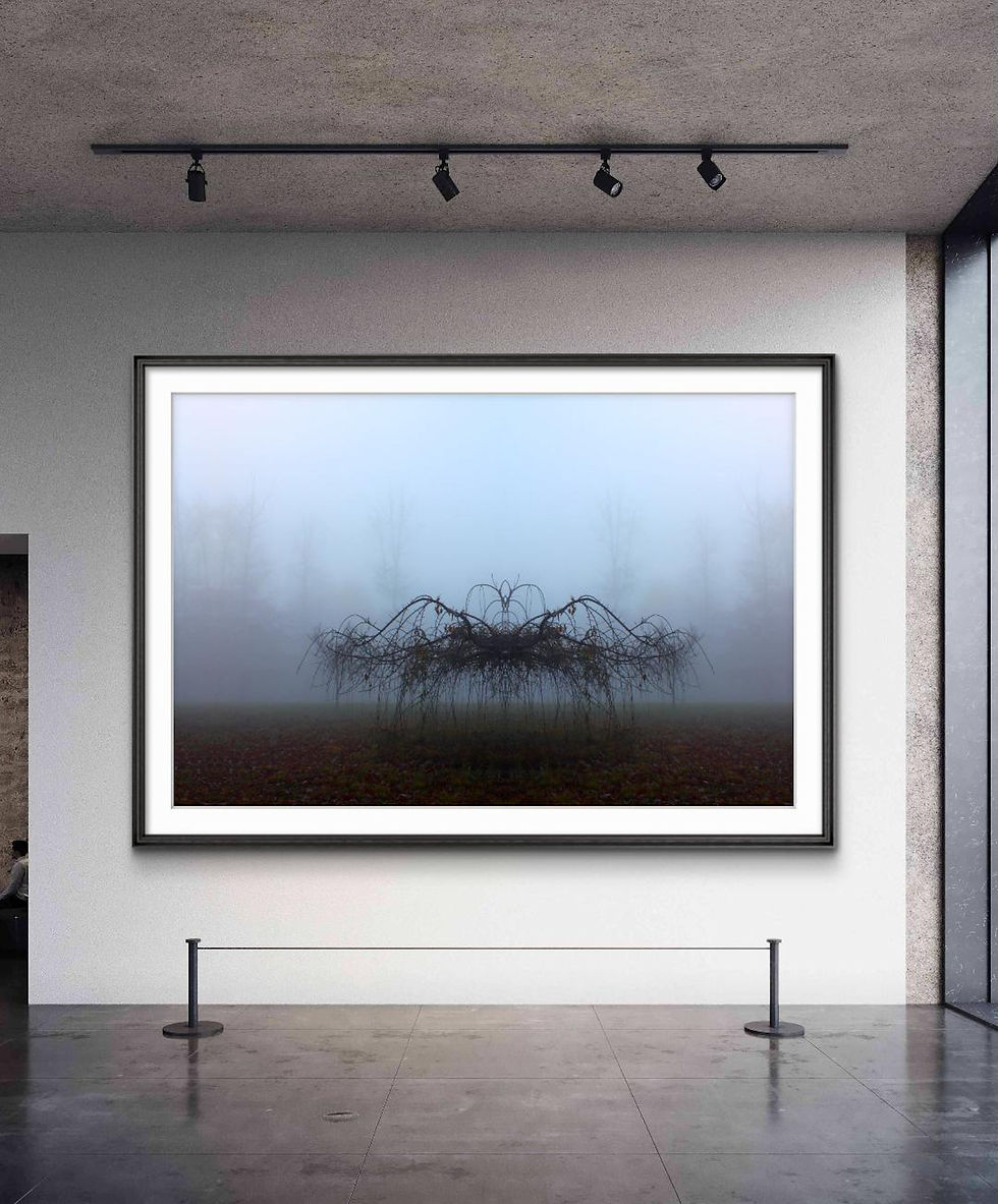 Creation Will Now Sing & Chirp A Familiar Song By Eric Buechel