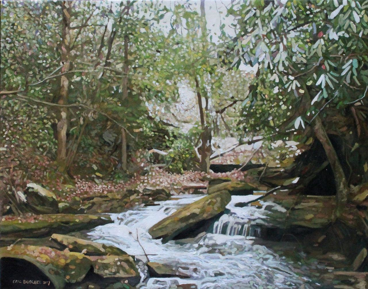 Scott's Creek