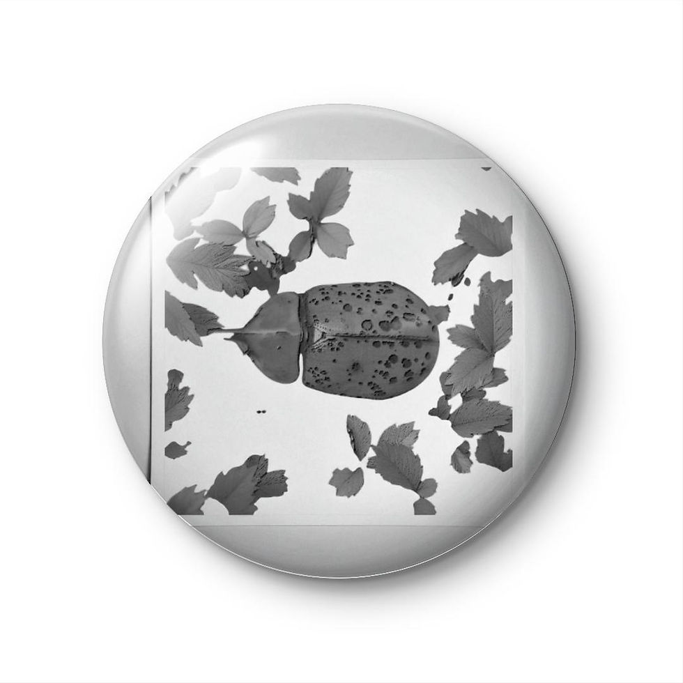 "Her Sketches Filled Her Room"