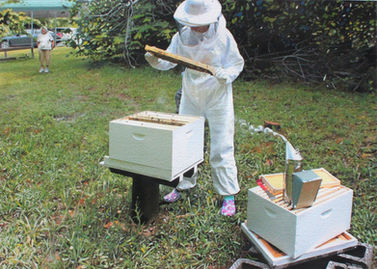 New Watercolor Painting By Eric Buechel