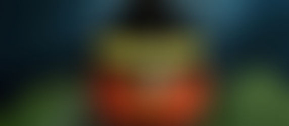 The Most Beautiful Ladybug by Eric Buechel