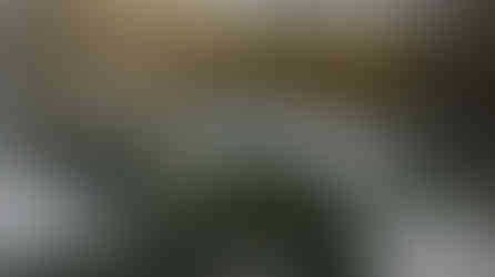 Oil on Canvas, 24" x 30" 