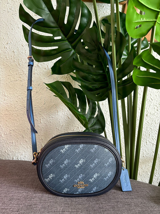 COACH ☆ CAMERA BAG WITH HORSE AND CARRIAGE DOT PRINT COACH® | Camera Bag With Horse And Carriage Dot Print