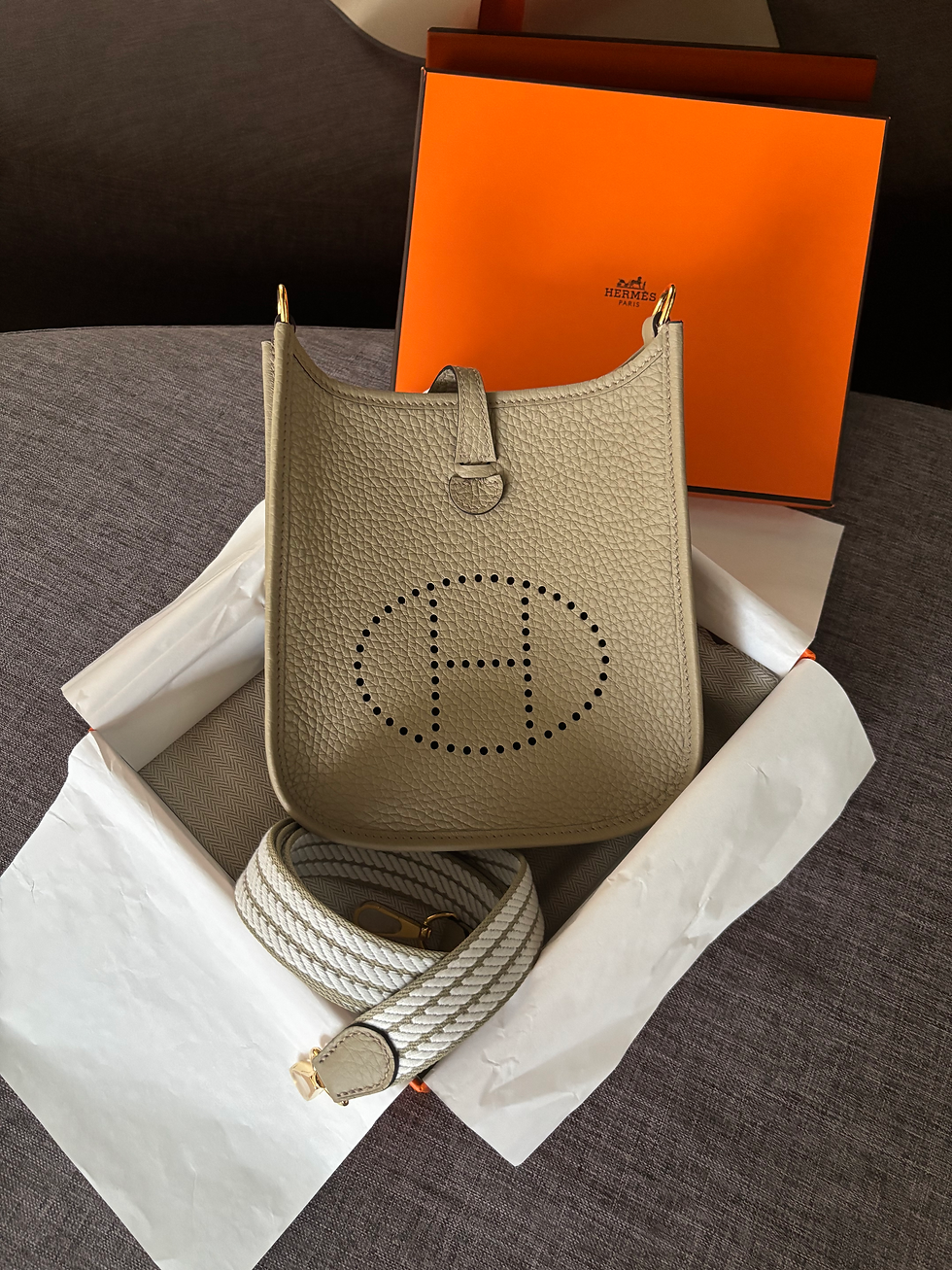 Thumbnail: Hermes Evelyne Mini TPM