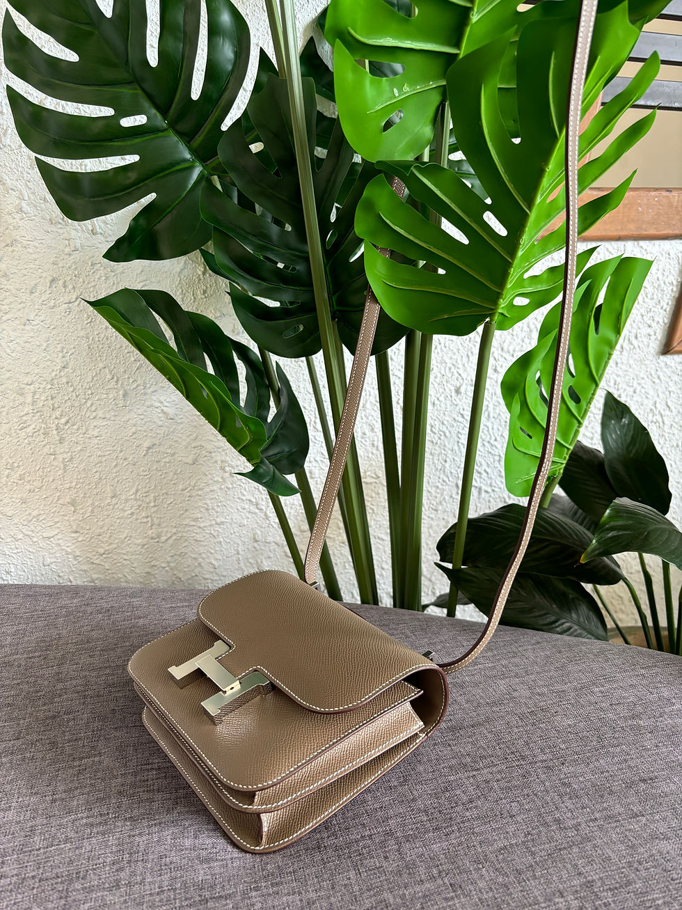 Thumbnail: Hermes Constance III Mini
