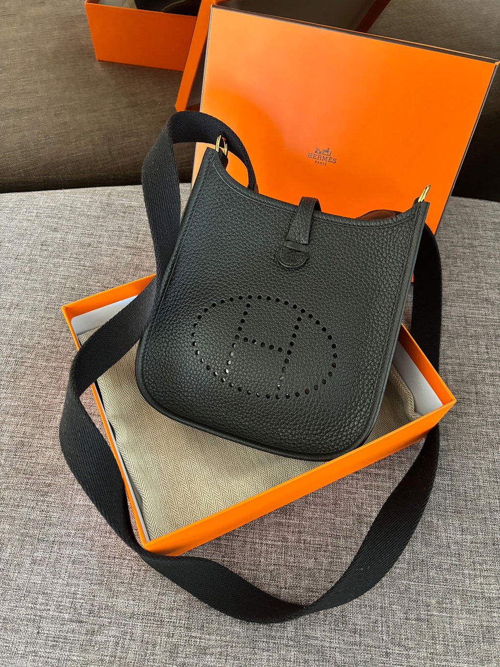 Thumbnail: Hermes Evelyne Mini TPM