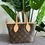 Thumbnail: LV M46705 Neverfull BB
